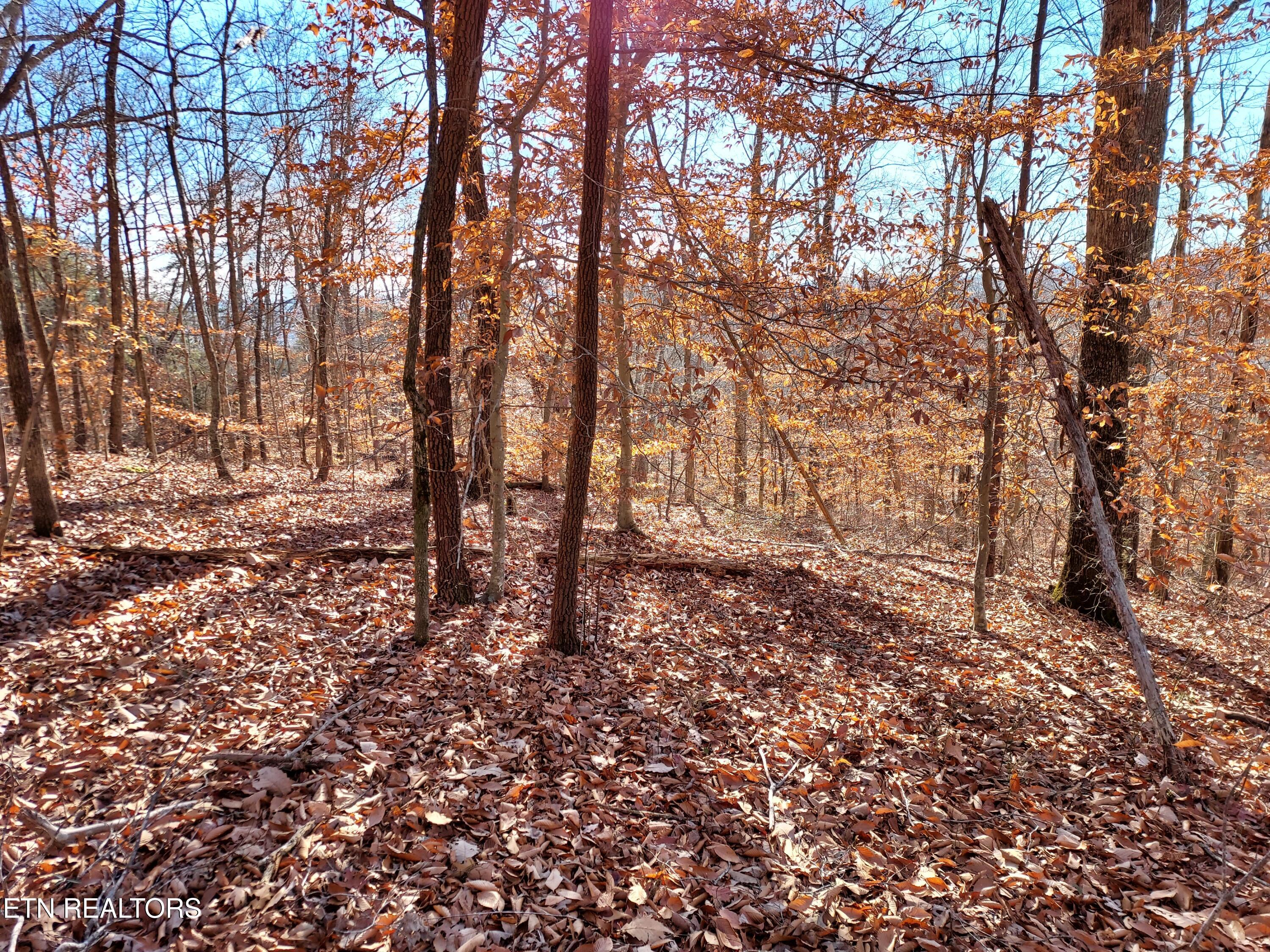 Lot 45 Walleye Point Sharps Chapel TN 37866