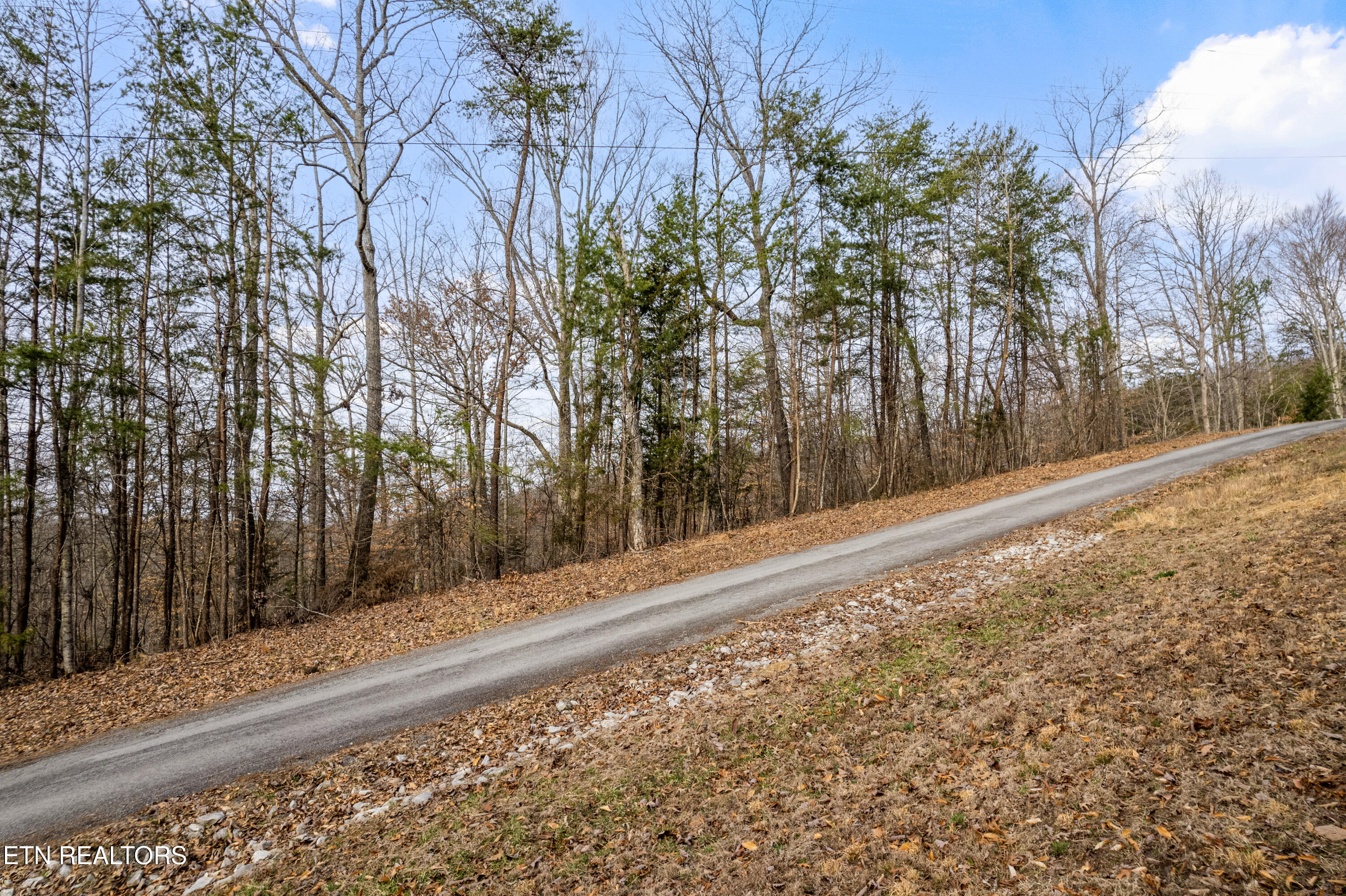 Lot 45 Walleye Point Sharps Chapel TN 37866