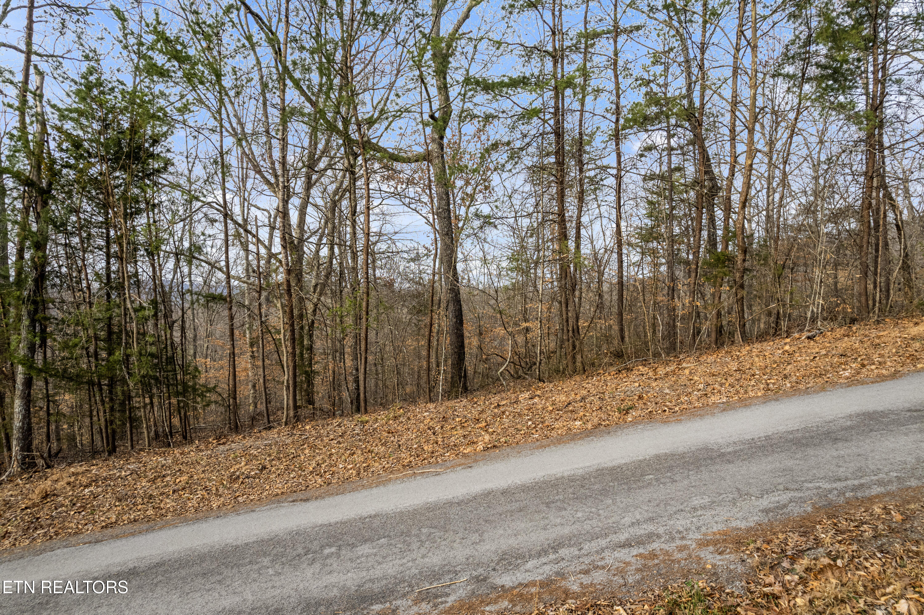Lot 45 Walleye Point Sharps Chapel TN 37866