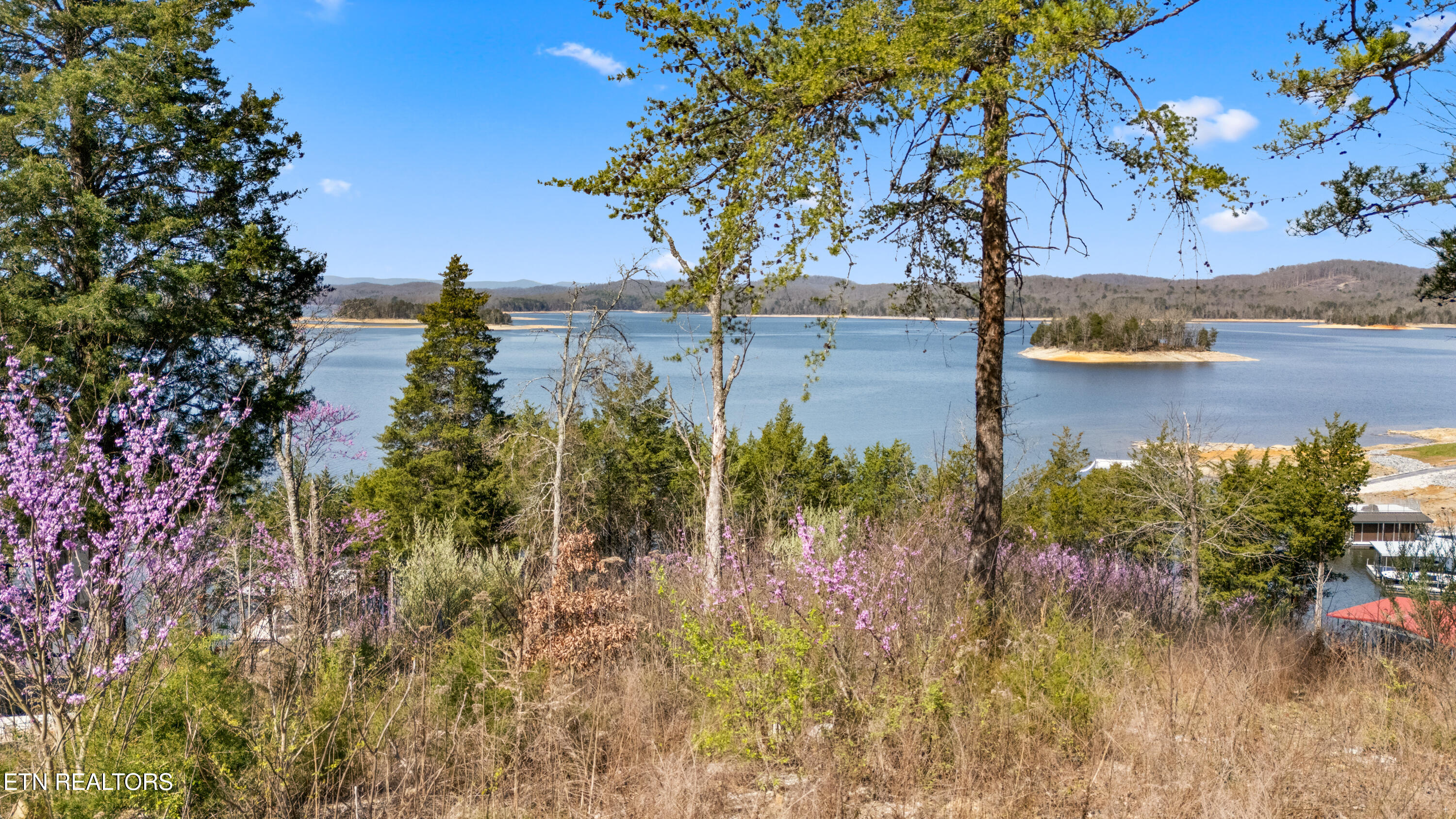 Lot 765 Russell Brothers Road Sharps Chapel TN 37866