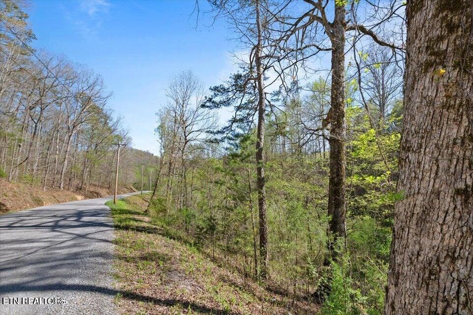 Rainbow View Road Lafollette TN 37766