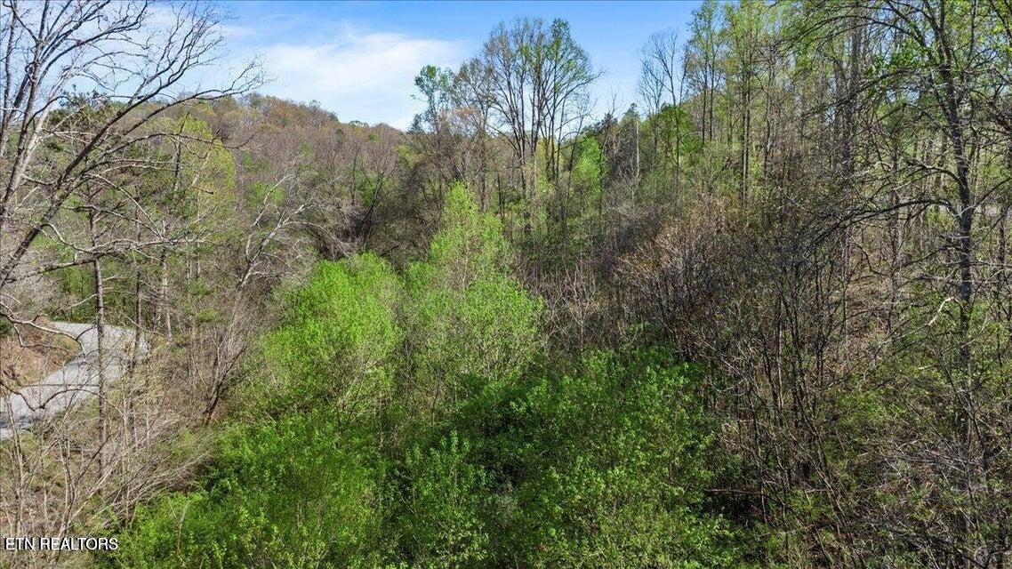 Rainbow View Road Lafollette TN 37766