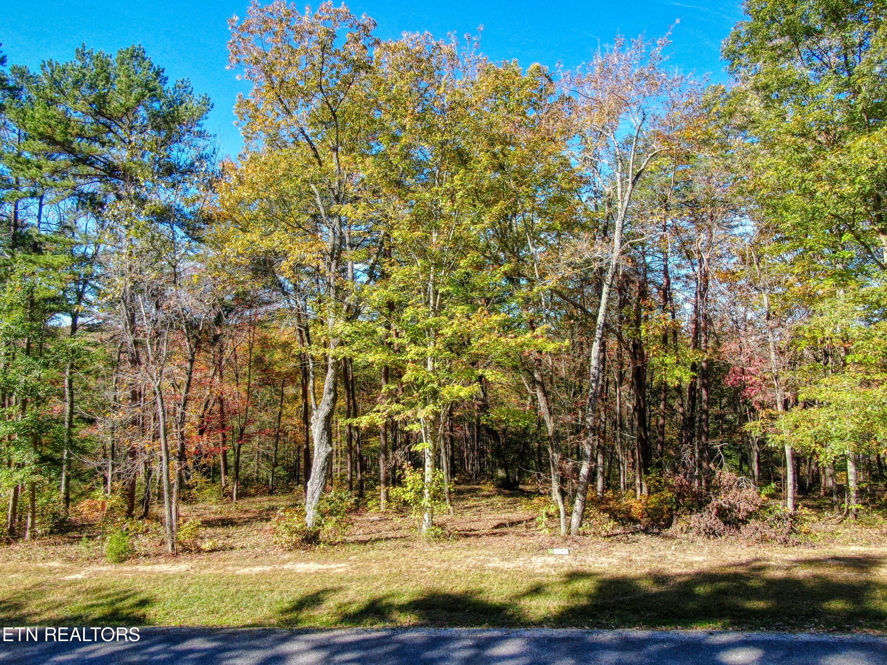 Lot 42 Grandview Way Jamestown TN 38556
