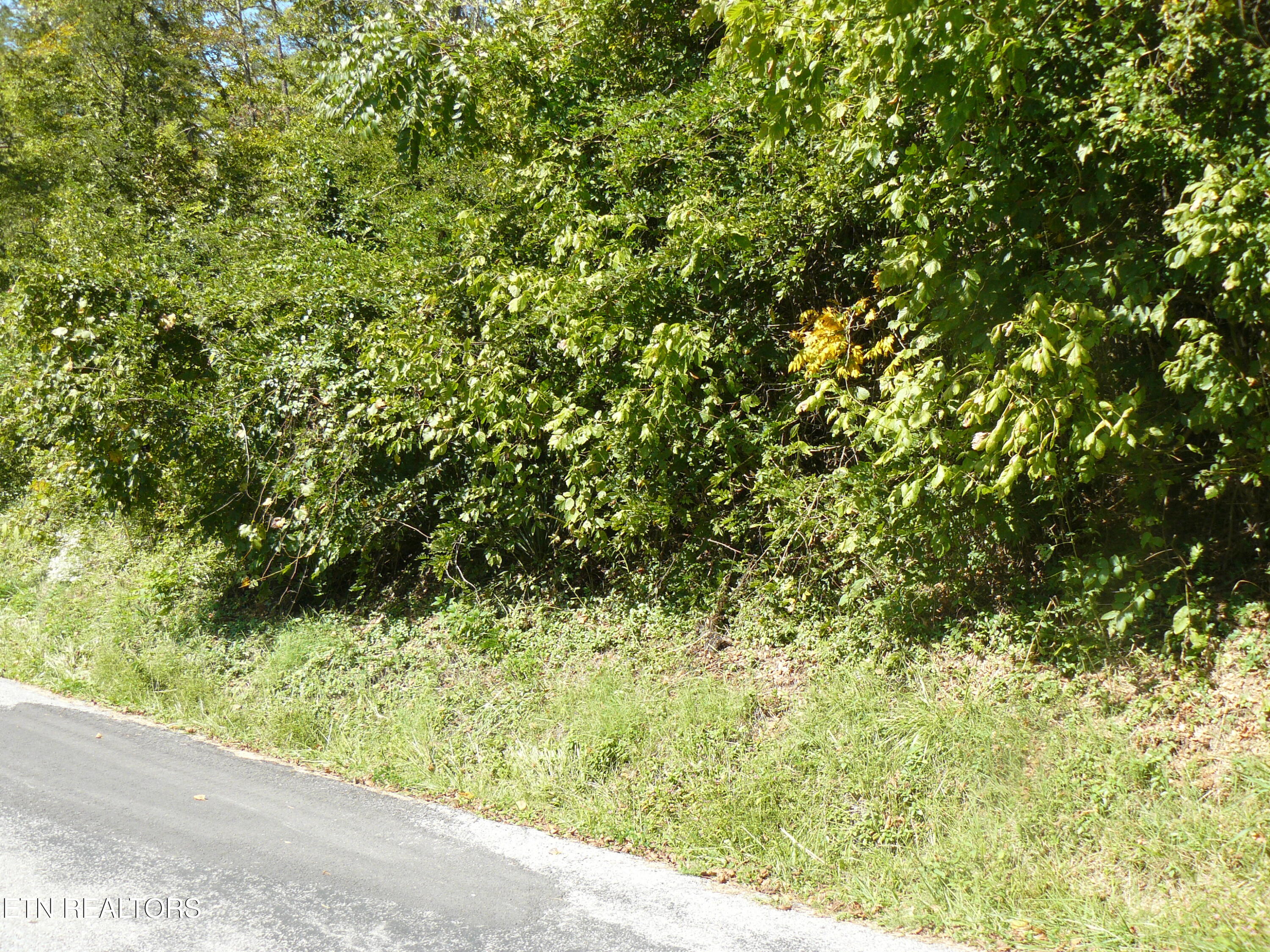 Lower Caney Valley Road Tazewell TN 37879