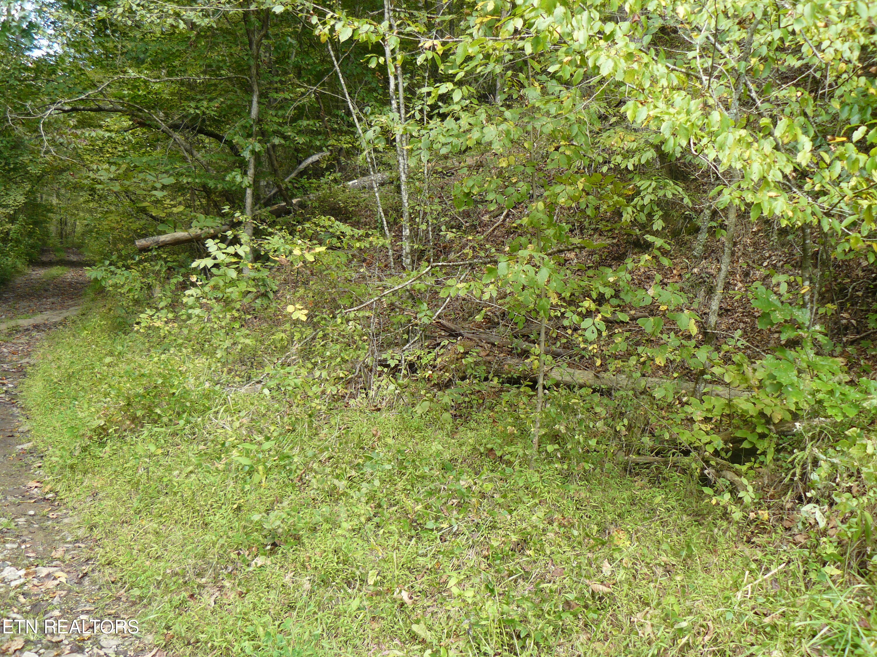 Lower Caney Valley Road Tazewell TN 37879