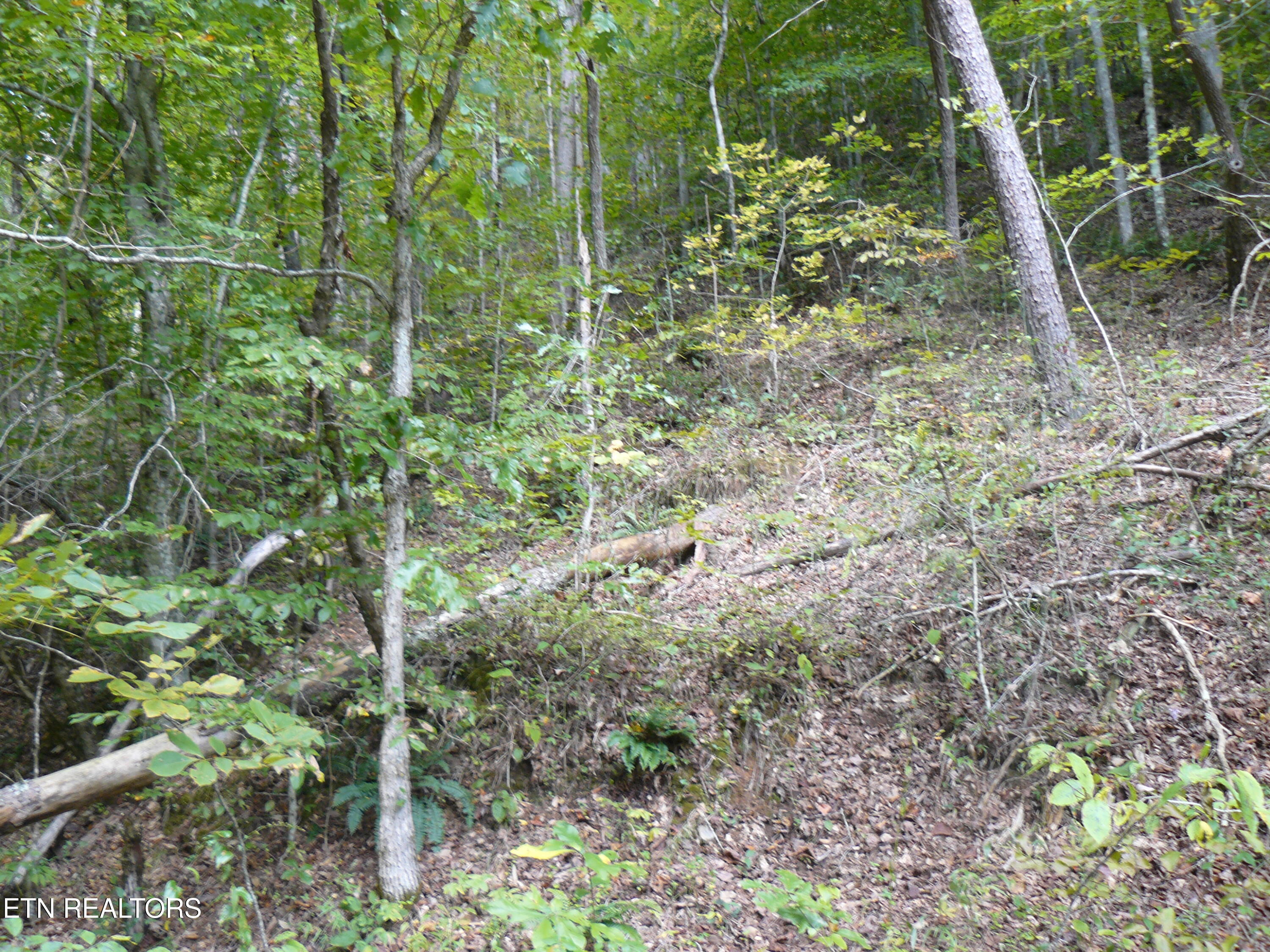 Lower Caney Valley Road Tazewell TN 37879