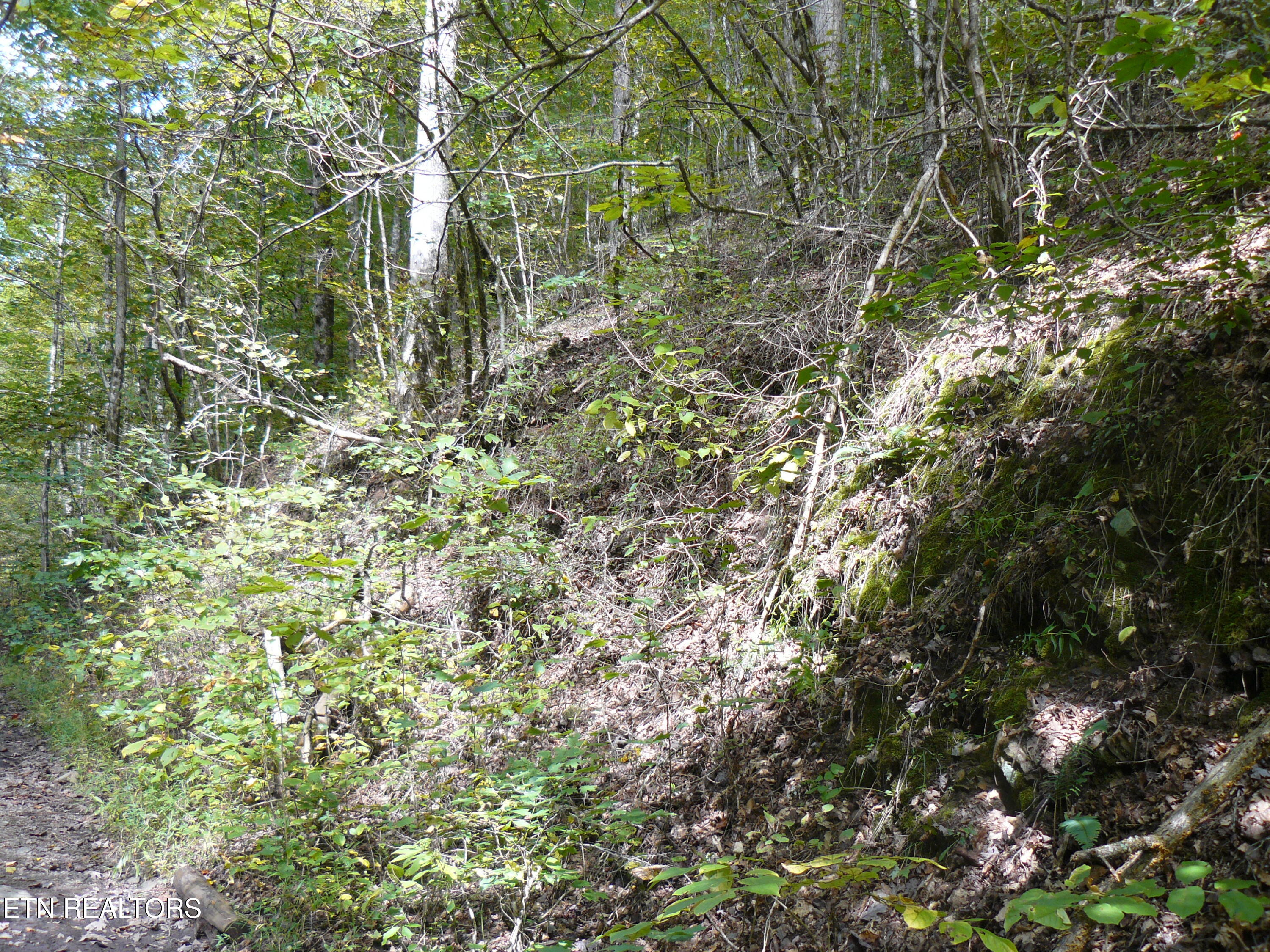Lower Caney Valley Road Tazewell TN 37879