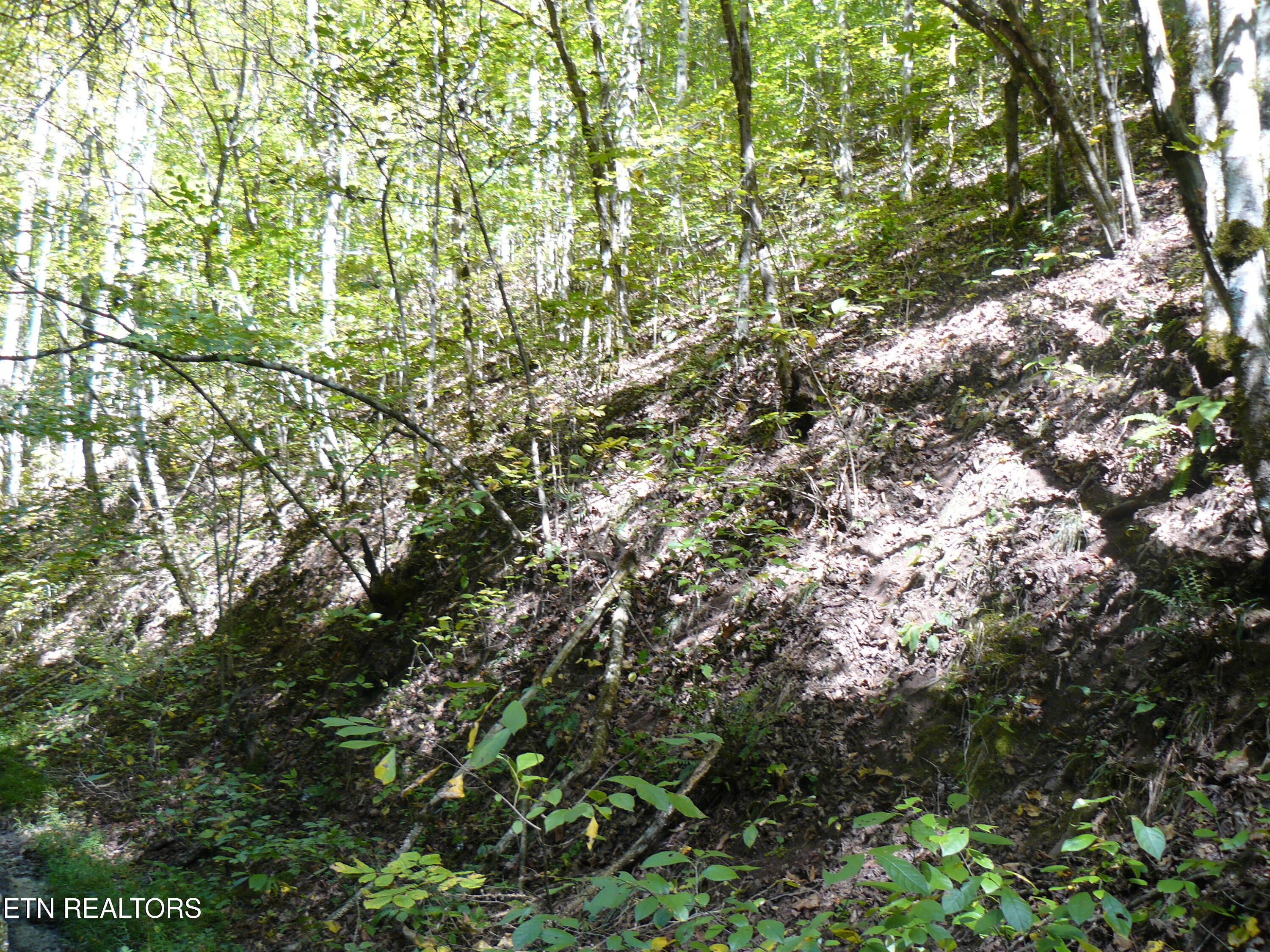 Lower Caney Valley Road Tazewell TN 37879