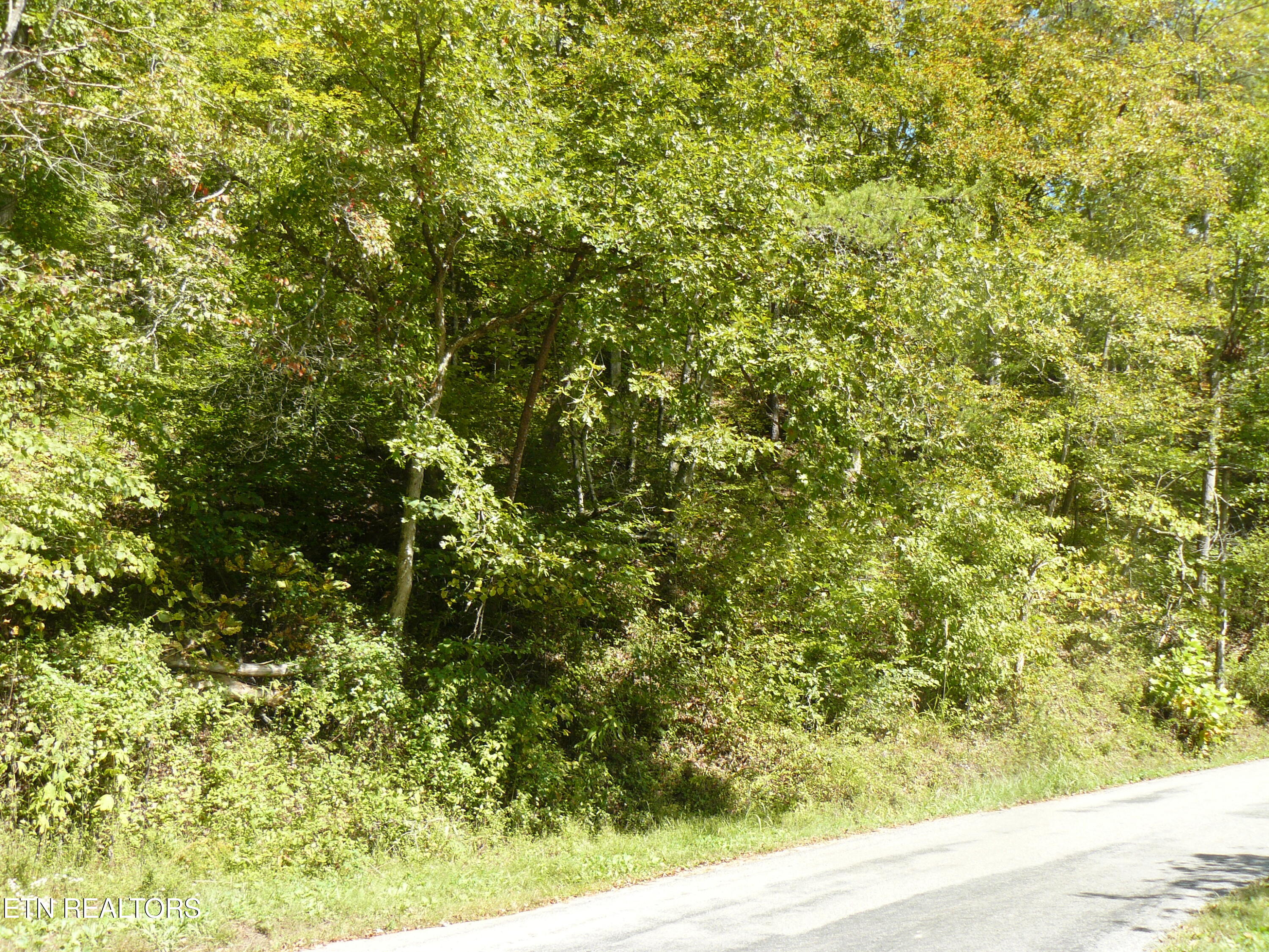 Lower Caney Valley Road Tazewell TN 37879