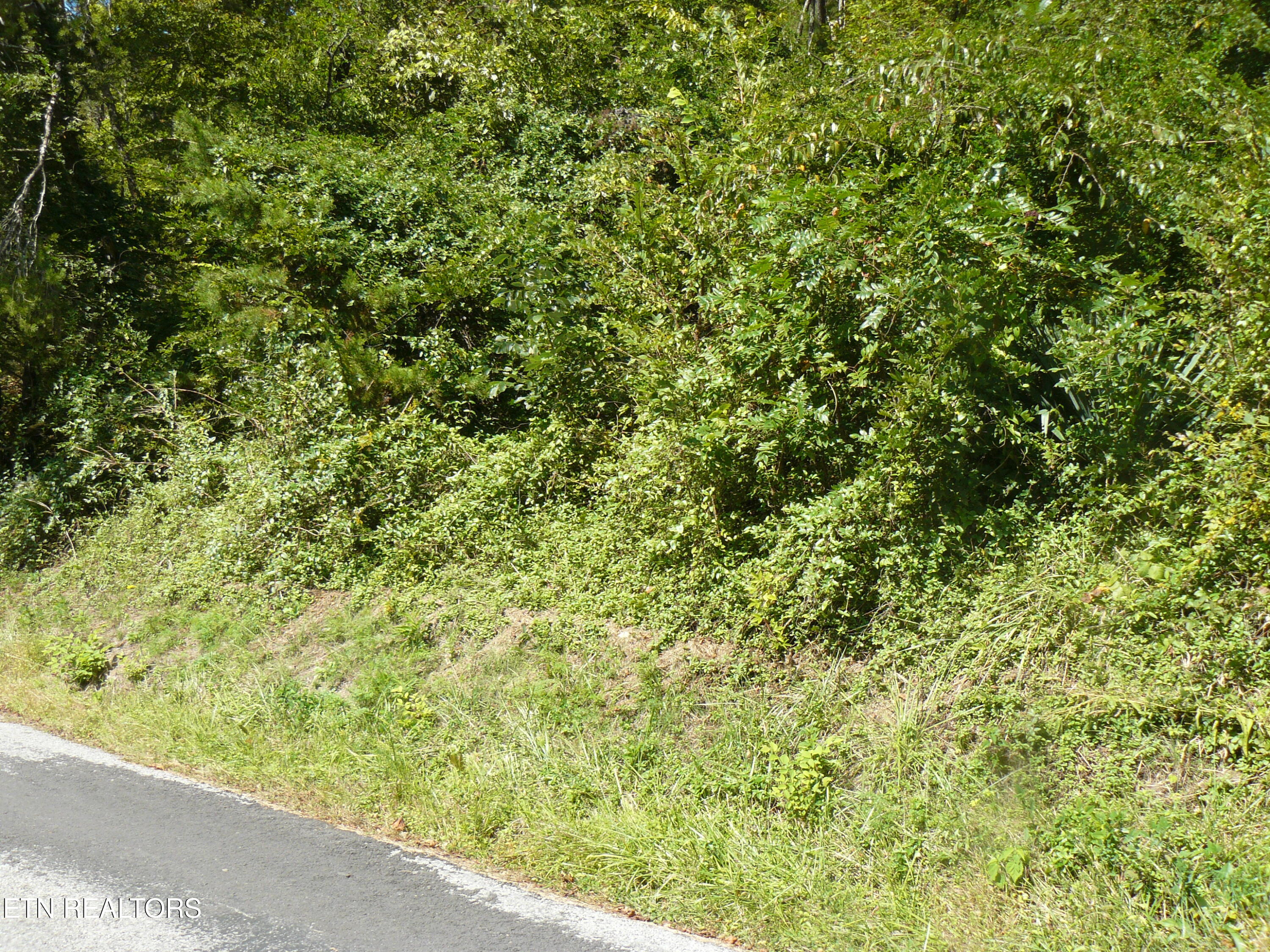 Lower Caney Valley Road Tazewell TN 37879