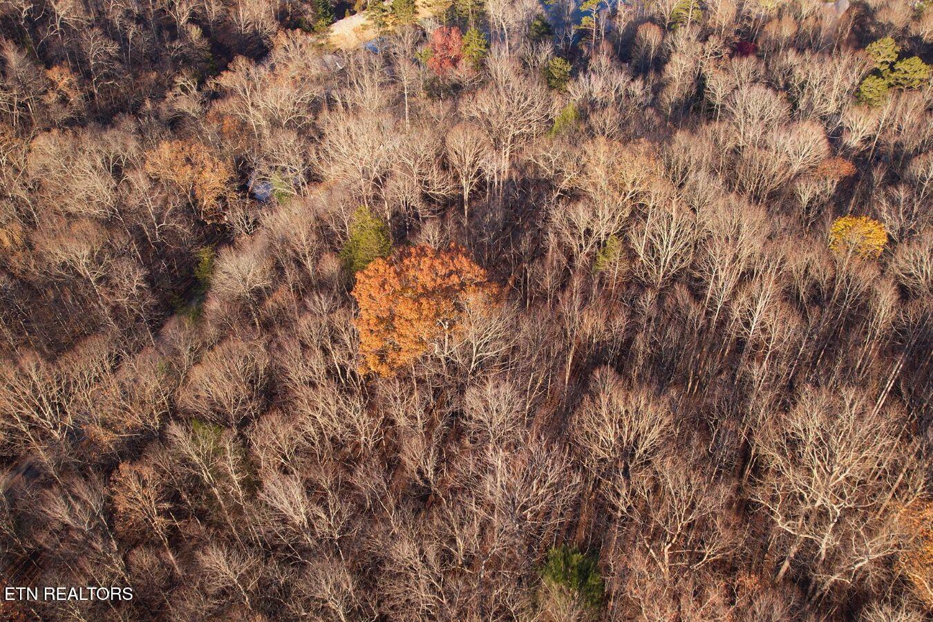 106+107 Hiwassee View Drive Jacksboro TN 37757