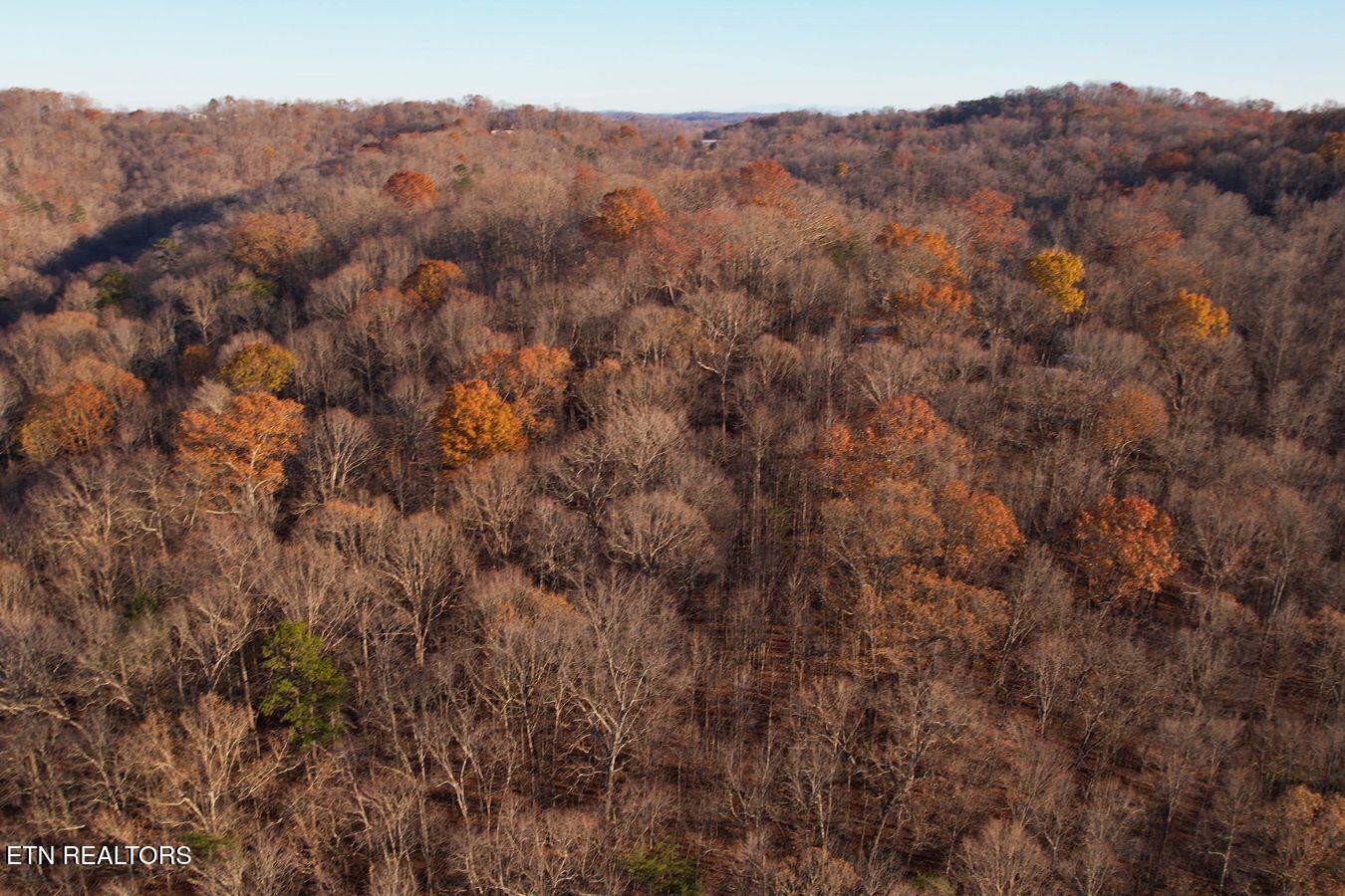 106+107 Hiwassee View Drive Jacksboro TN 37757