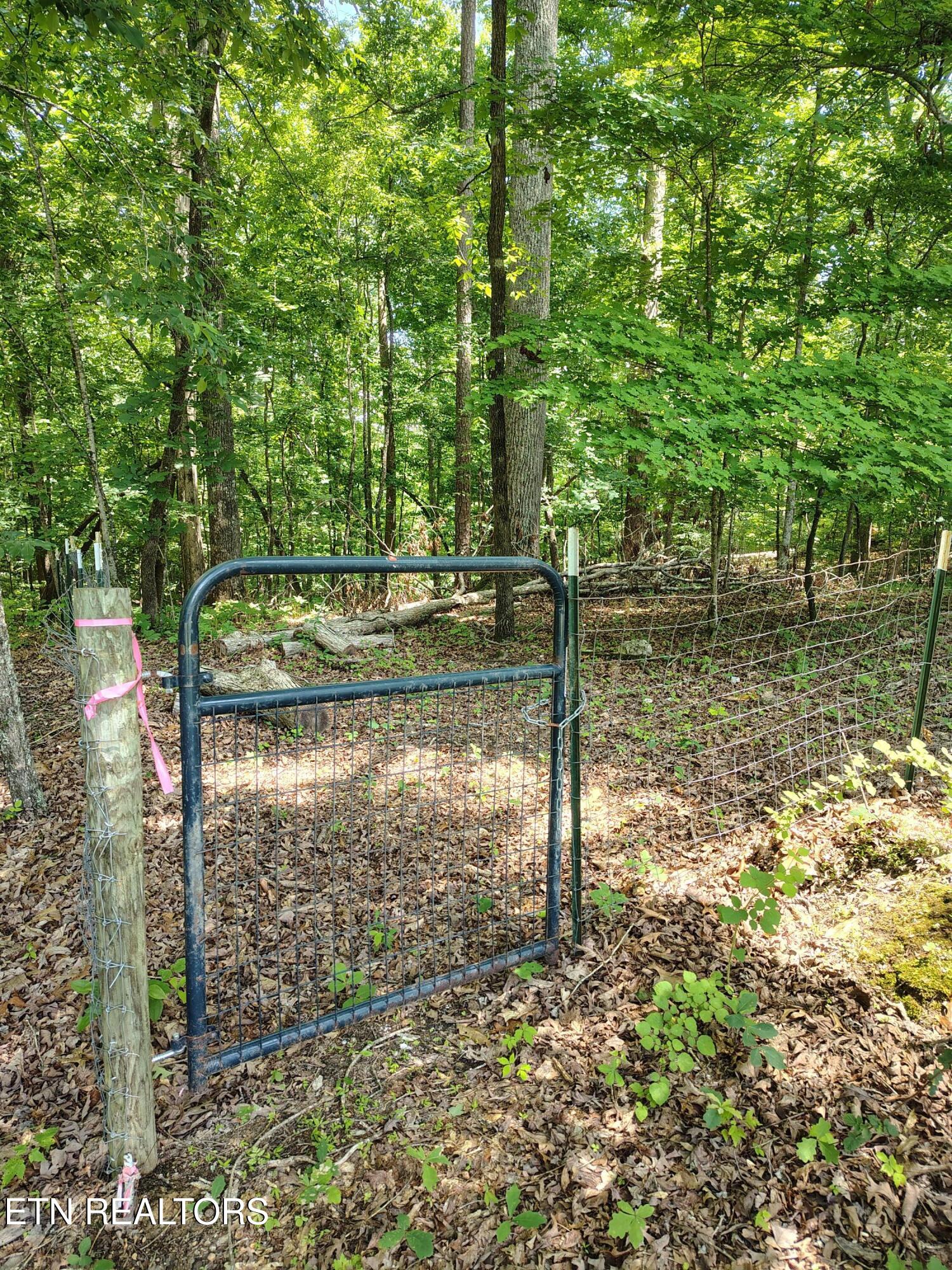 138 Stooksbury Lane Andersonville TN 37705