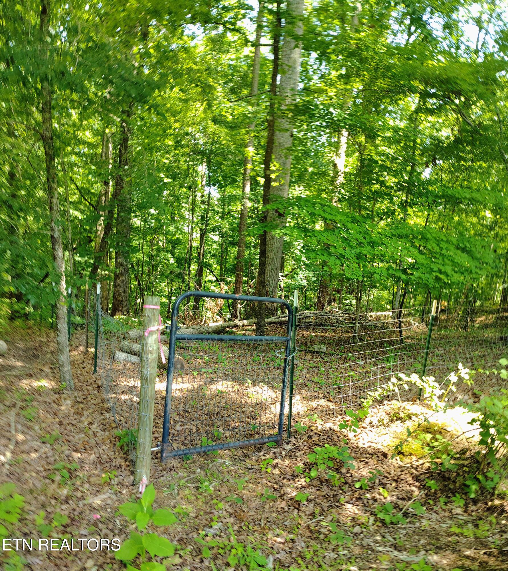 138 Stooksbury Lane Andersonville TN 37705