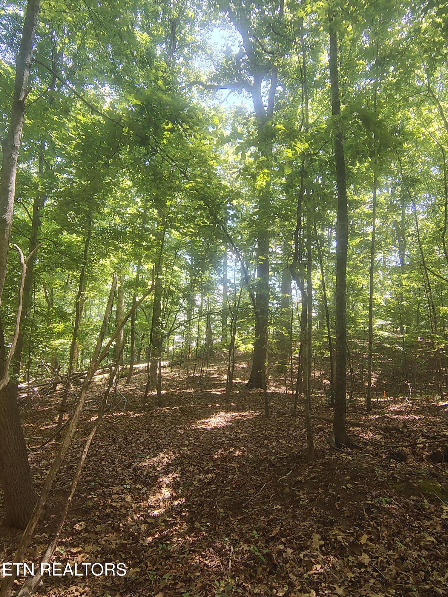 138 Stooksbury Lane Andersonville TN 37705