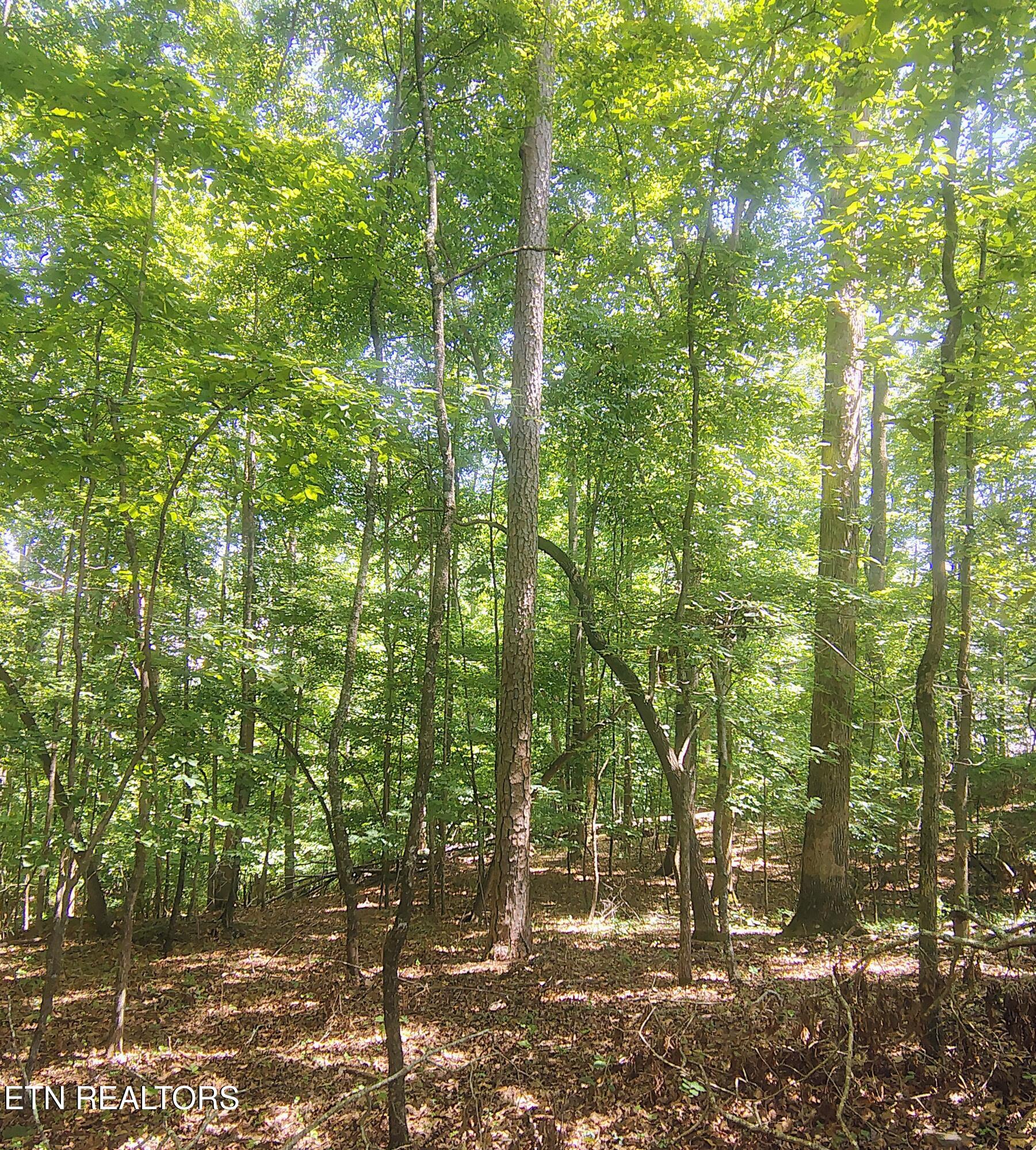 138 Stooksbury Lane Andersonville TN 37705