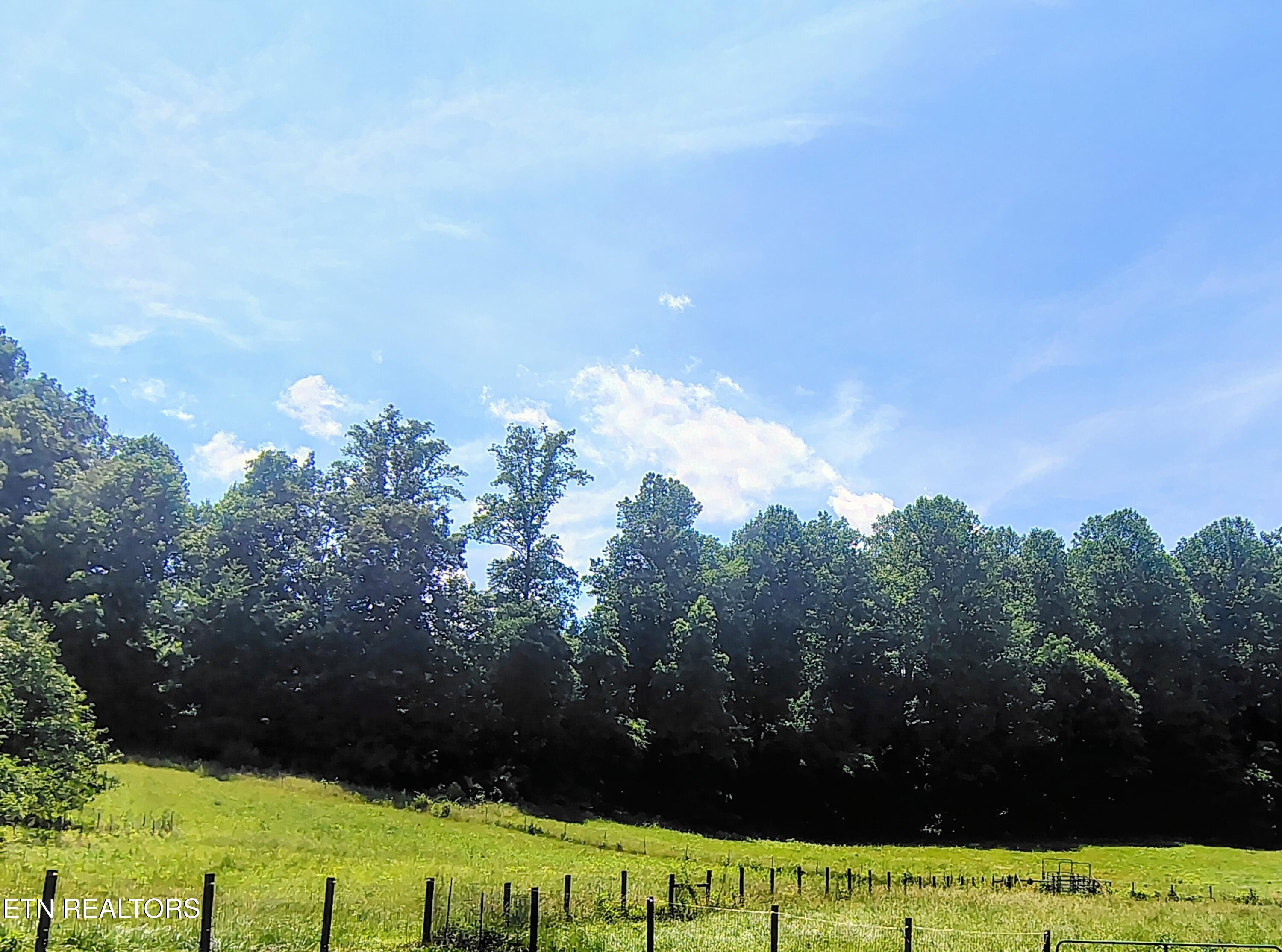 138 Stooksbury Lane Andersonville TN 37705