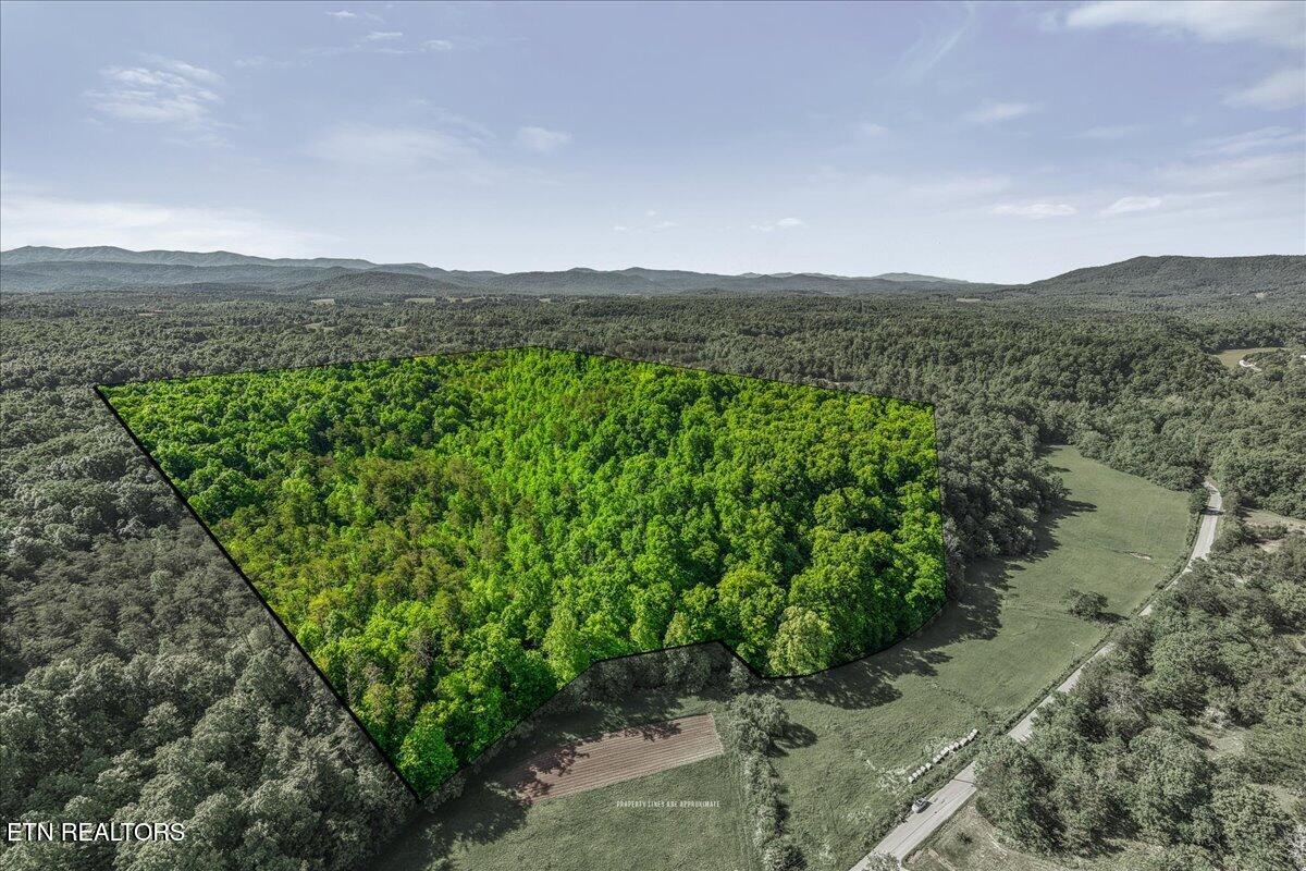 Shadden Road Tellico Plains TN 37385