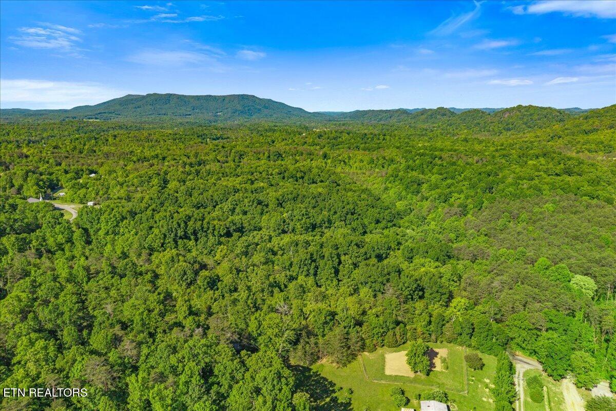 Shadden Road Tellico Plains TN 37385