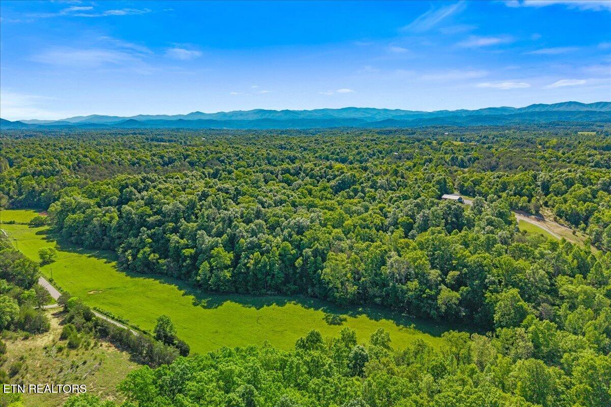 Shadden Road Tellico Plains TN 37385