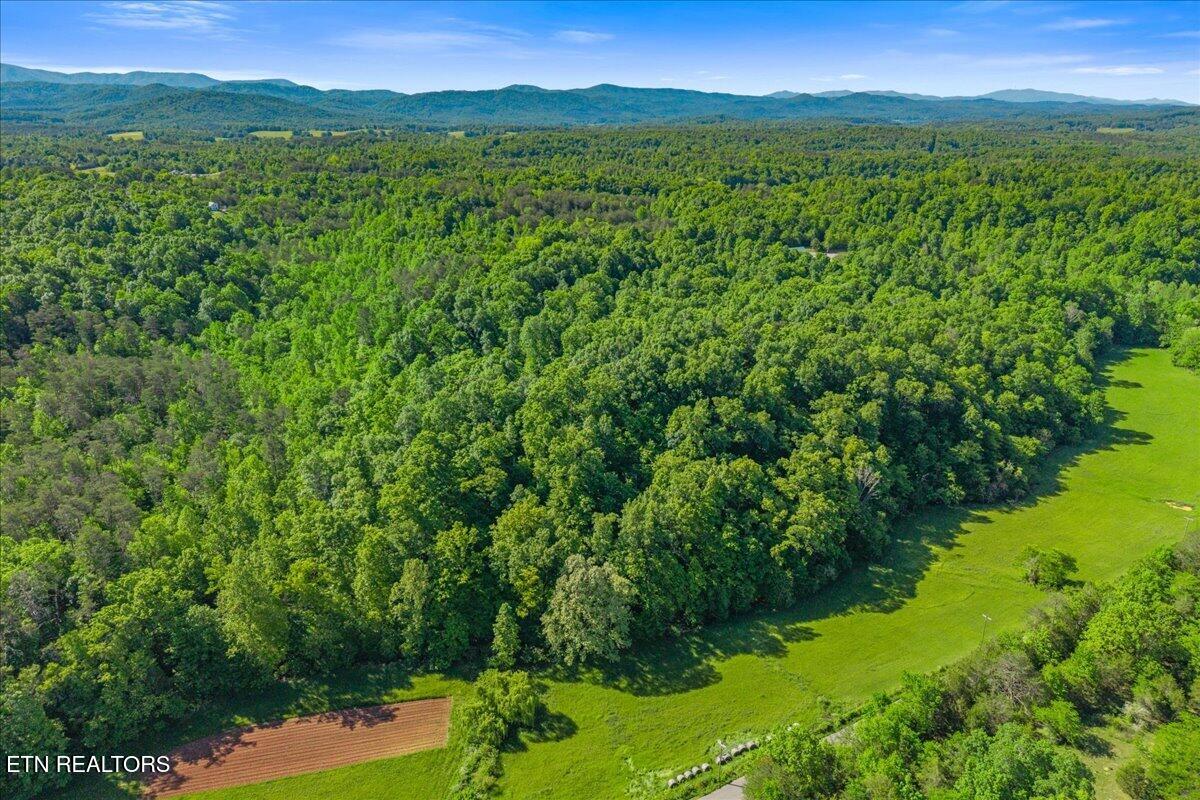 Shadden Road Tellico Plains TN 37385