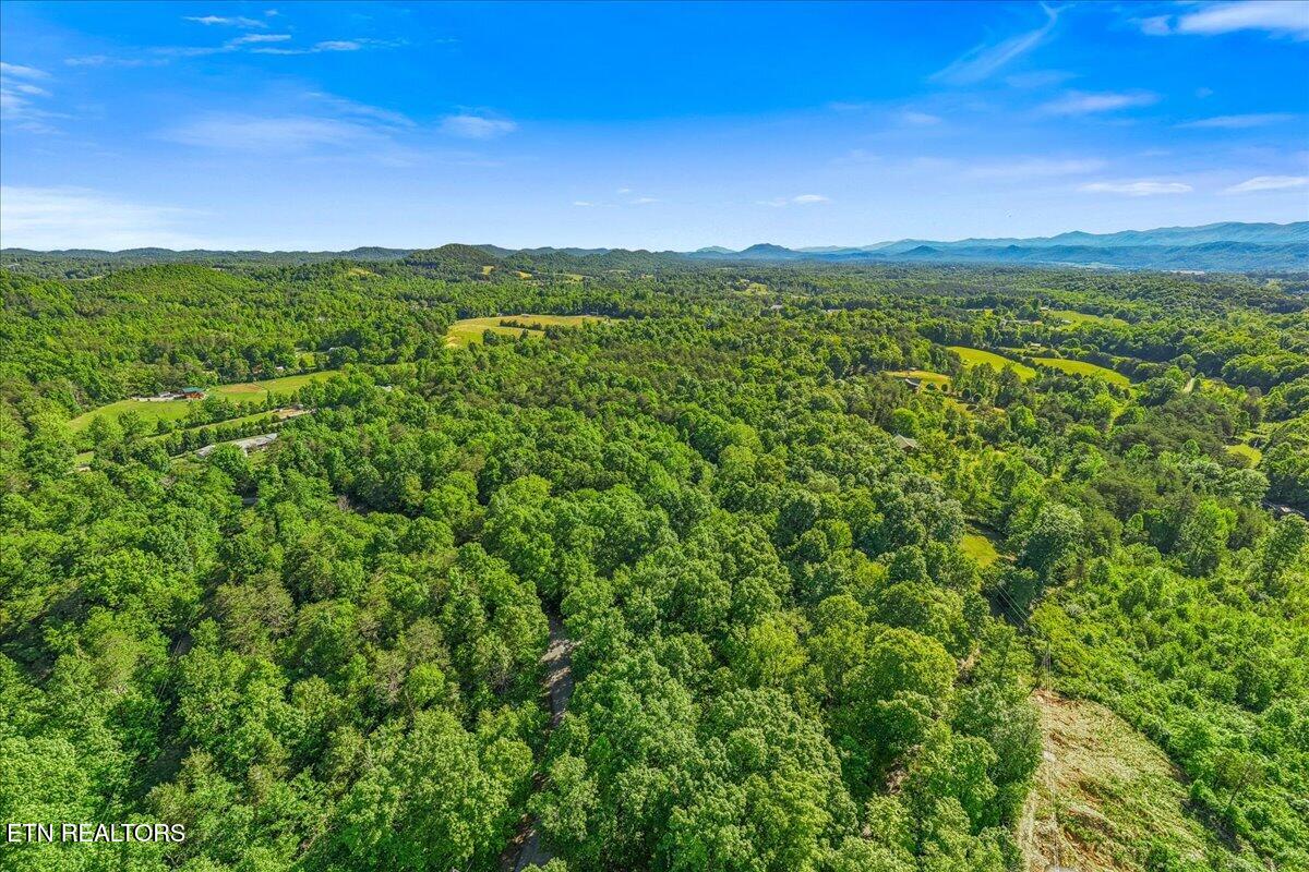 Shadden Road Tellico Plains TN 37385
