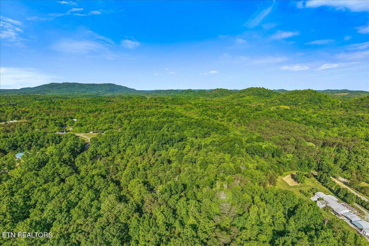 Shadden Road Tellico Plains TN 37385