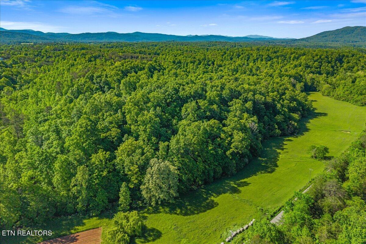 Shadden Road Tellico Plains TN 37385