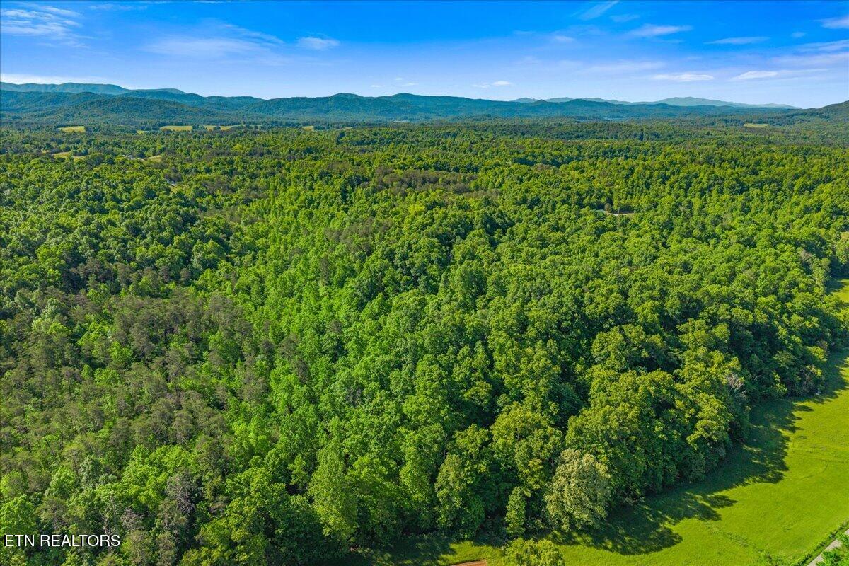 Shadden Road Tellico Plains TN 37385