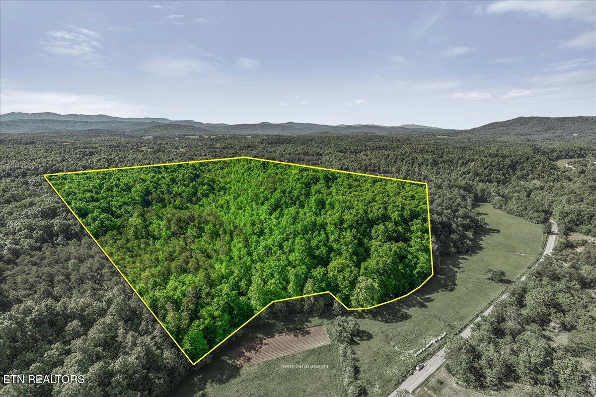 Shadden Road Tellico Plains TN 37385
