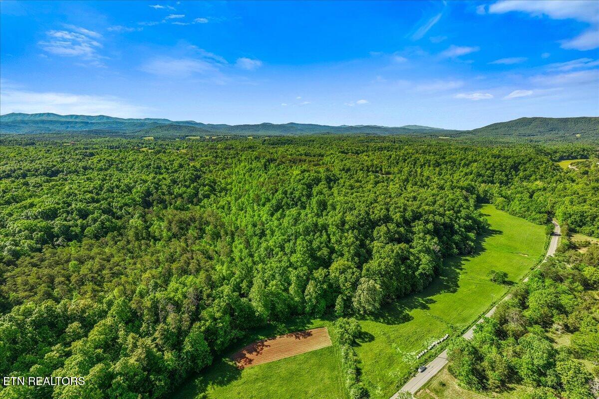 Shadden Road Tellico Plains TN 37385