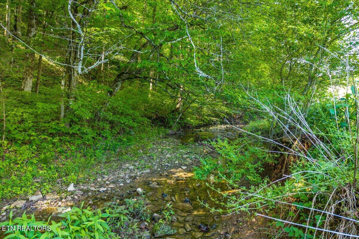 Shadden Road Tellico Plains TN 37385