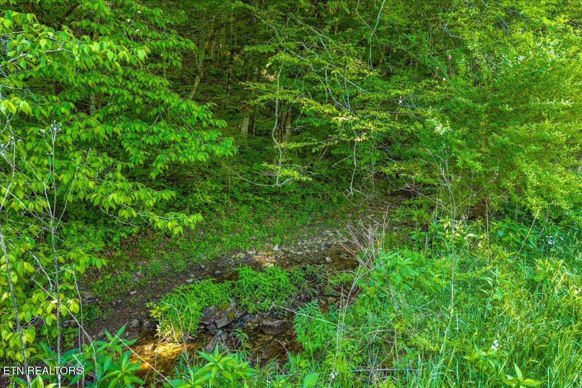 Shadden Road Tellico Plains TN 37385