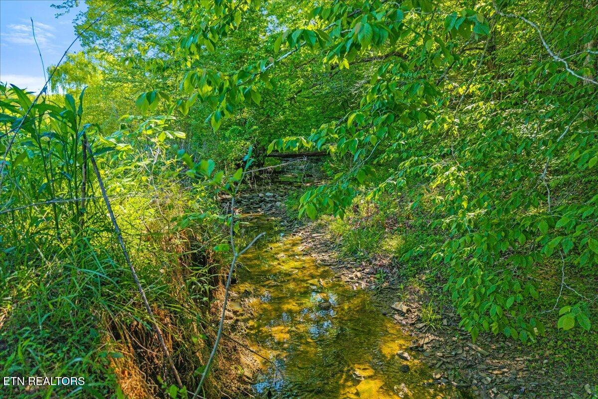 Shadden Road Tellico Plains TN 37385