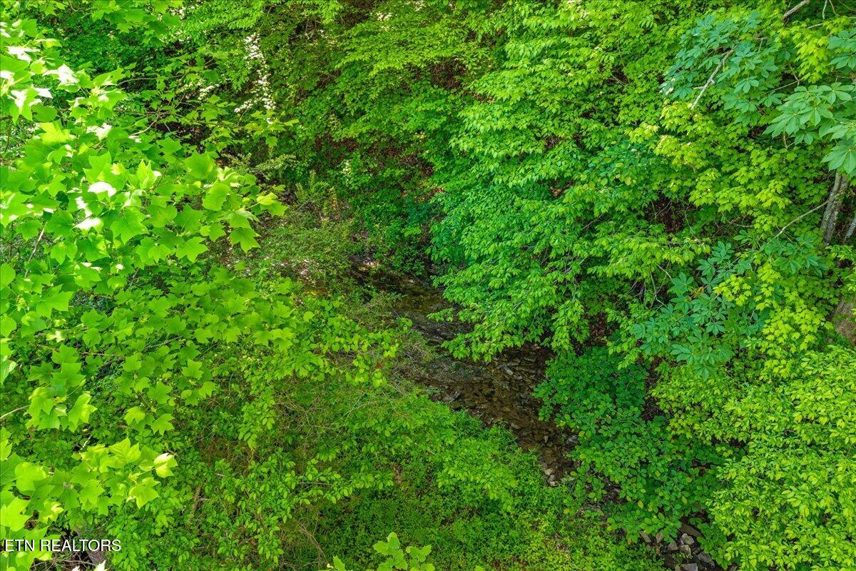 Shadden Road Tellico Plains TN 37385
