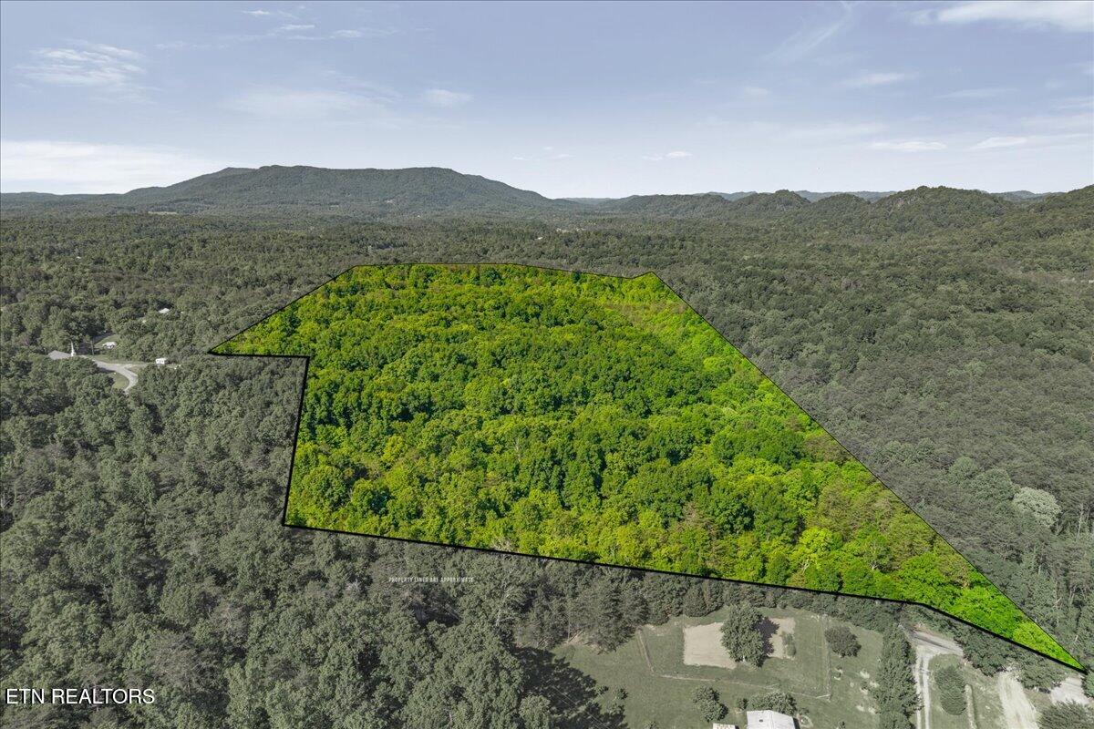 Shadden Road Tellico Plains TN 37385