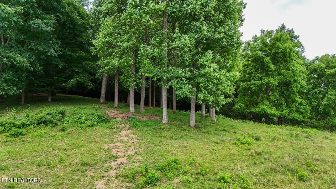 5+/-ACRES Frog Level Road Johnson City TN 37615