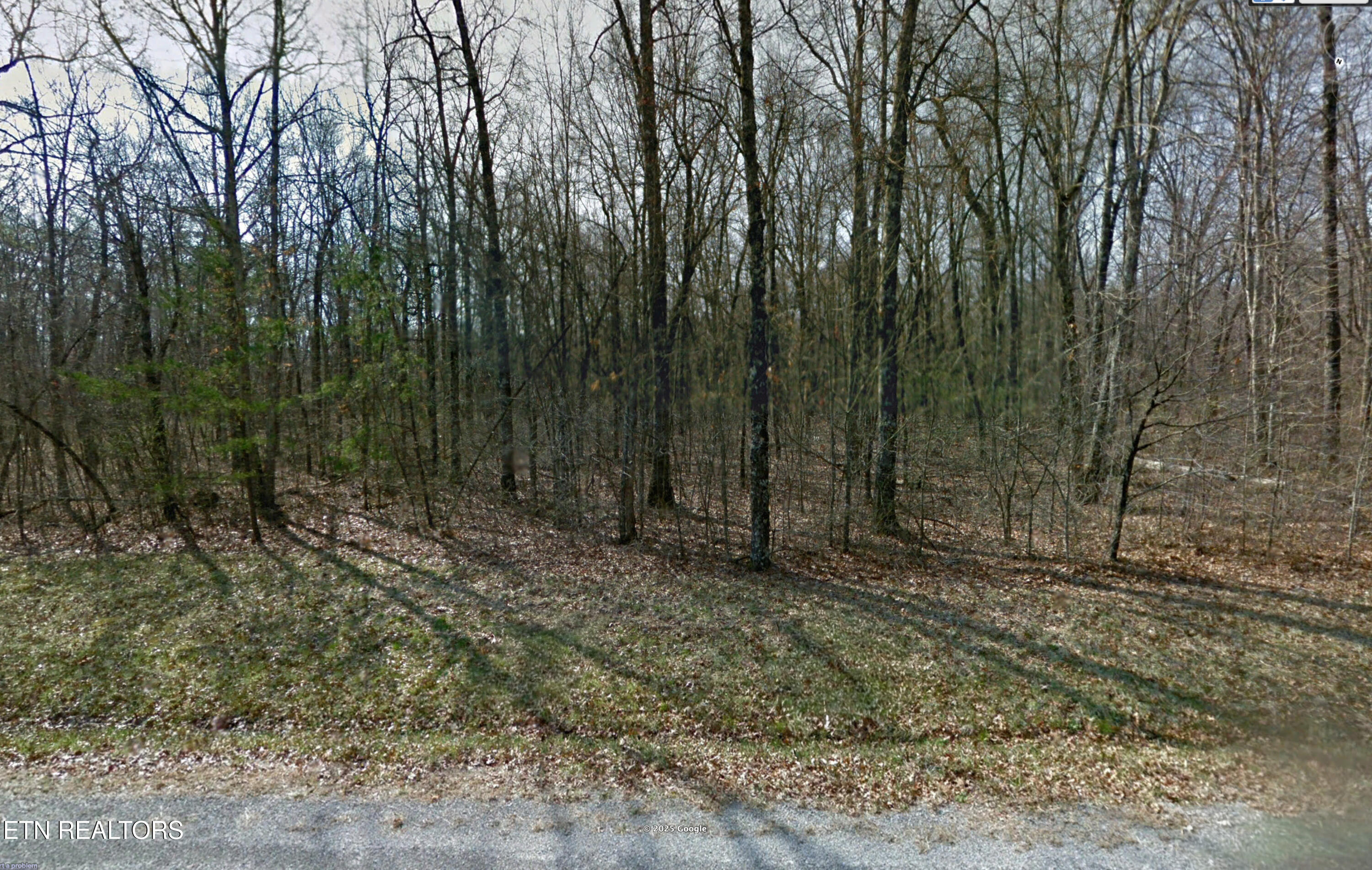 Cumberland Lakes Drive Monterey TN 38574