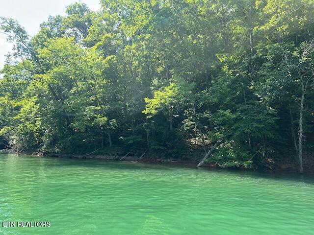 102 Cheri Lane Caryville TN 37714