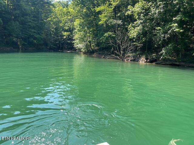 102 Cheri Lane Caryville TN 37714