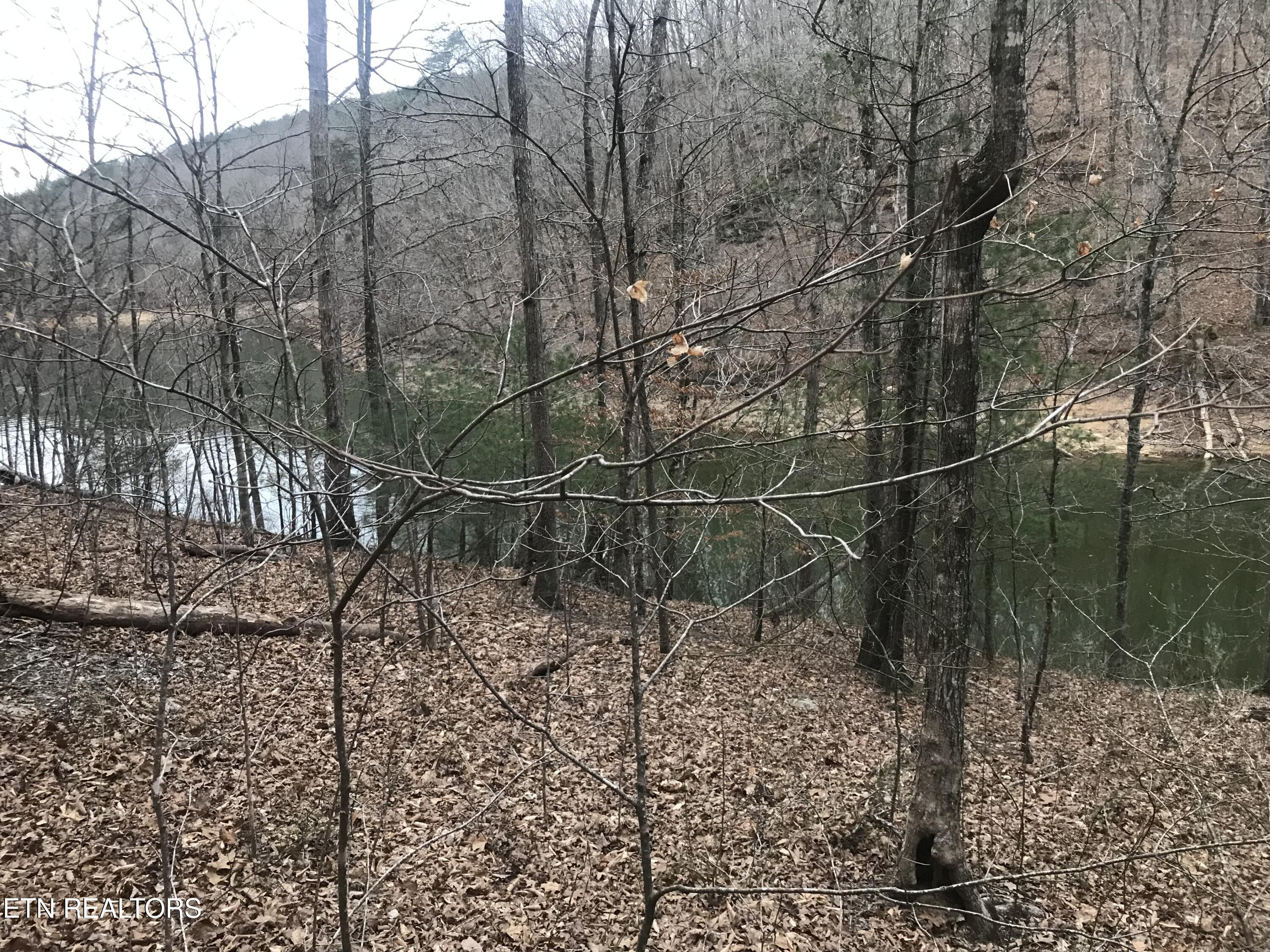 102 Cheri Lane Caryville TN 37714