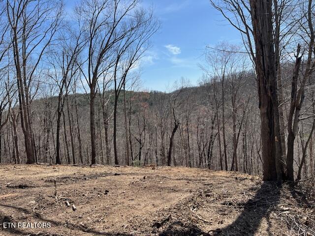 102 Cheri Lane Caryville TN 37714