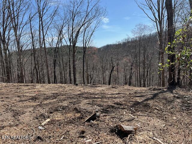 102 Cheri Lane Caryville TN 37714