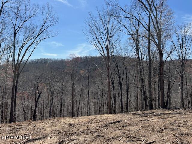102 Cheri Lane Caryville TN 37714