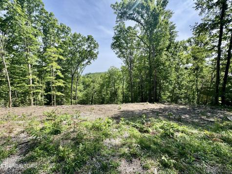 102 Cheri Lane Caryville TN 37714