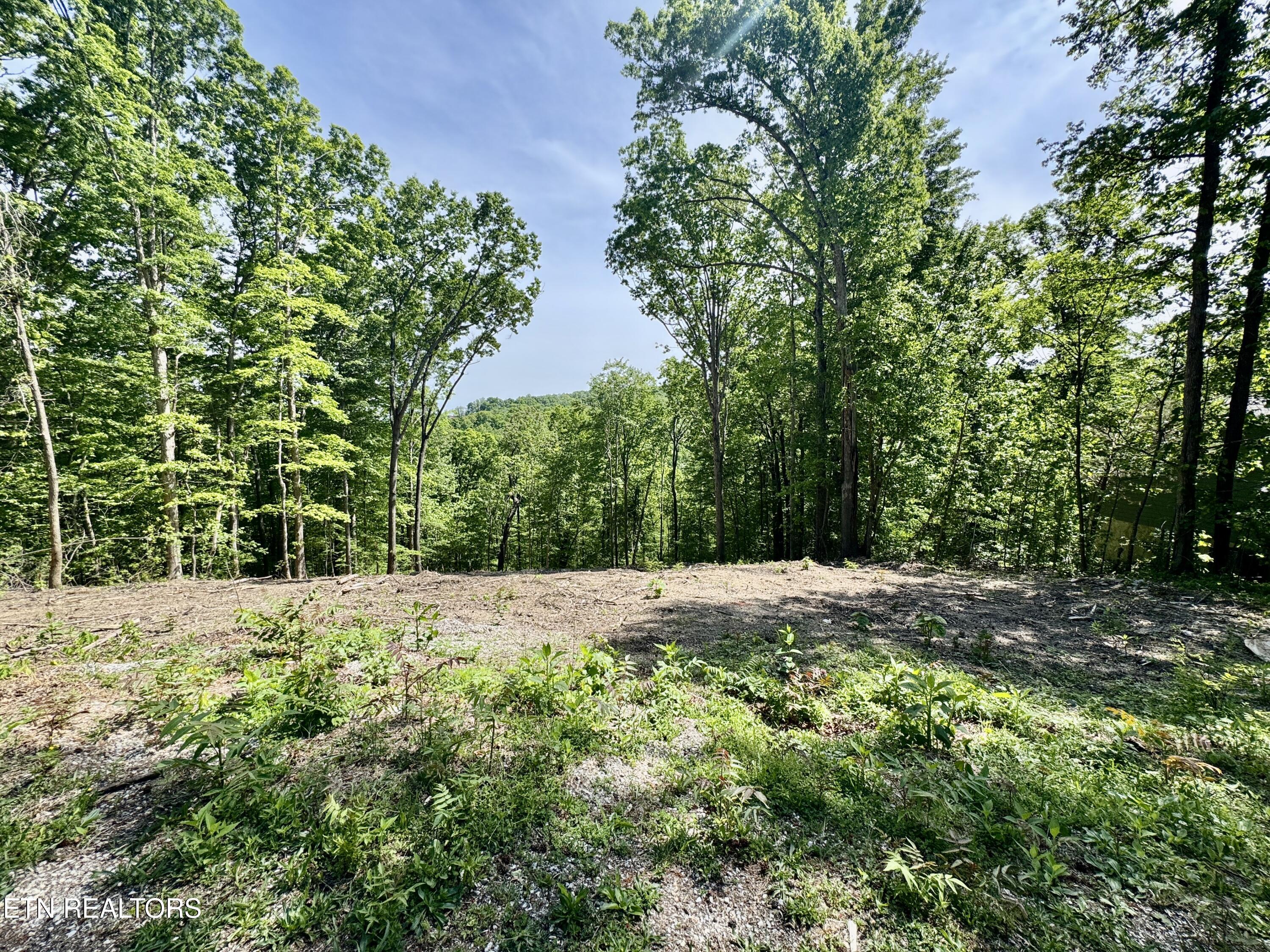 102 Cheri Lane Caryville TN 37714