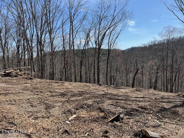 102 Cheri Lane Caryville TN 37714