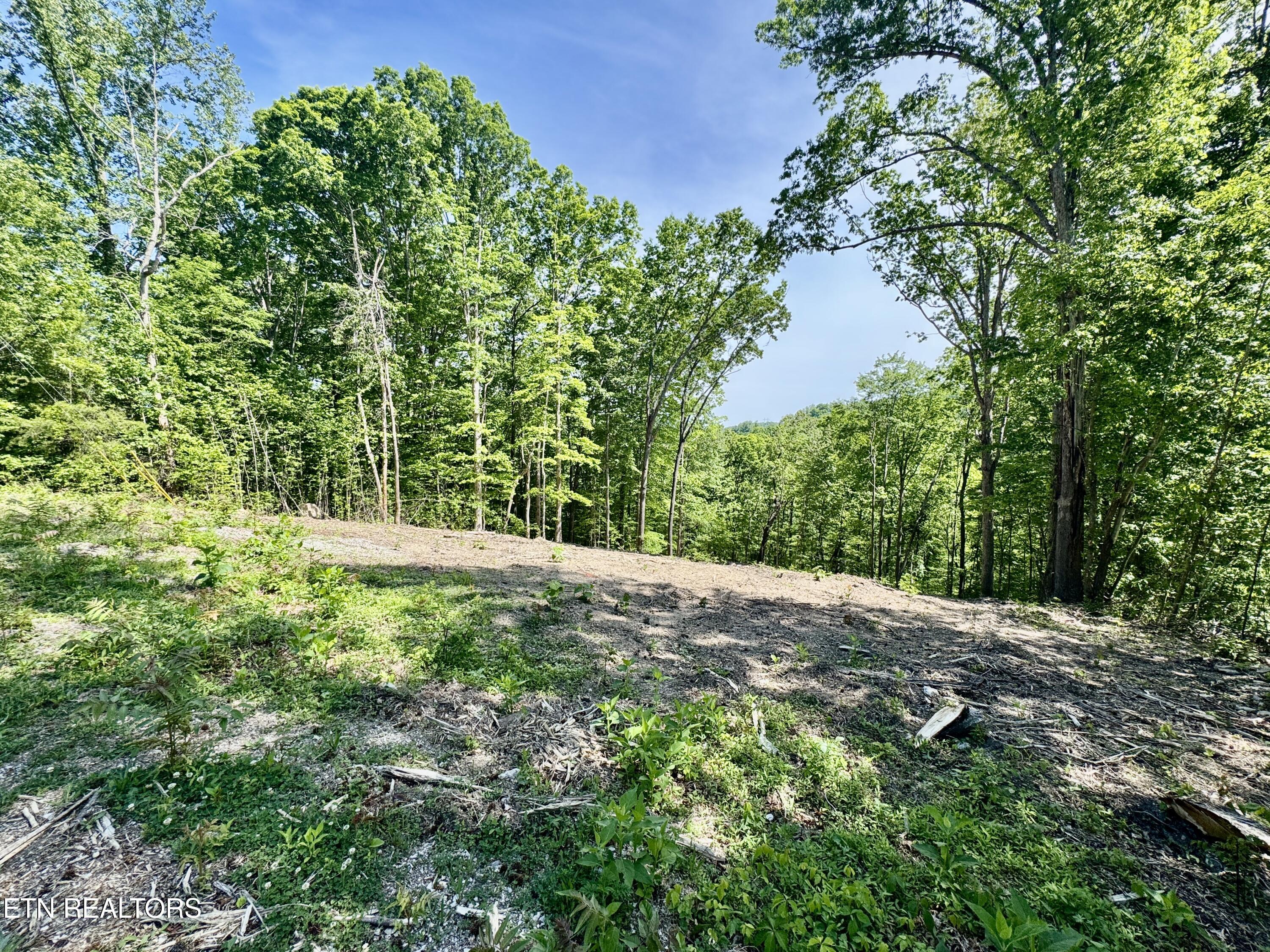 102 Cheri Lane Caryville TN 37714