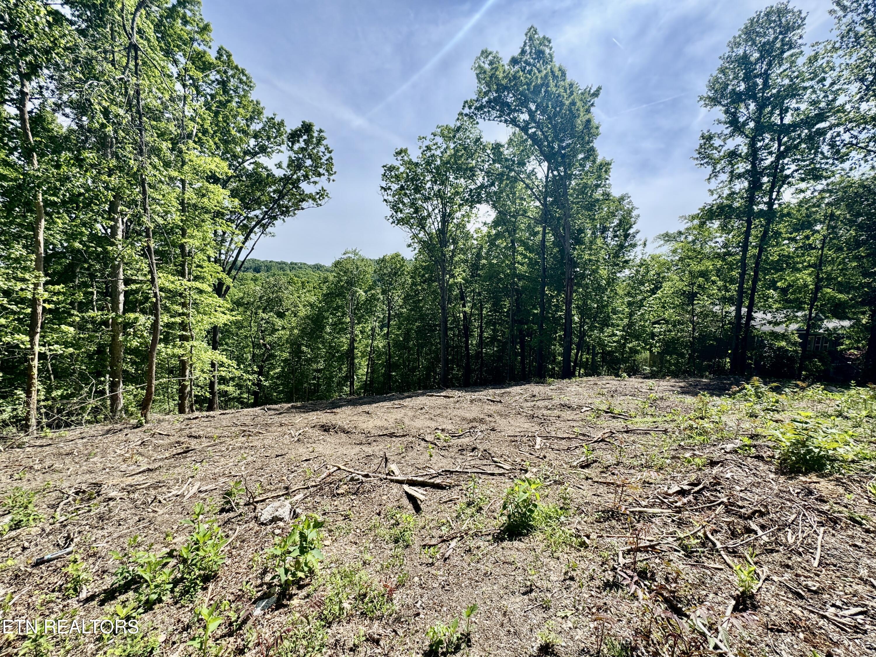 102 Cheri Lane Caryville TN 37714