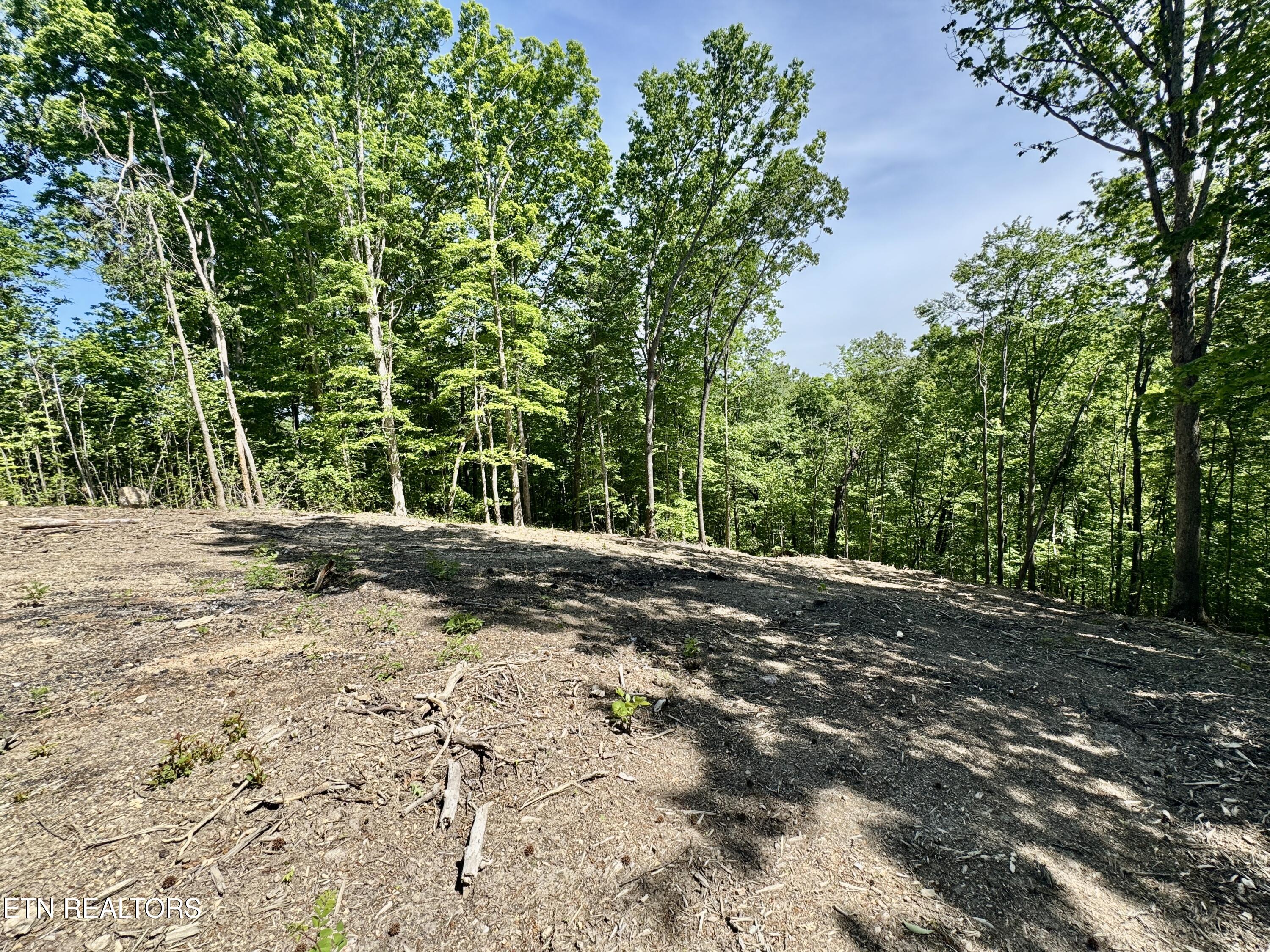 102 Cheri Lane Caryville TN 37714